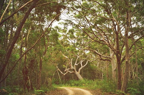 Day Trip To Cronulla & The Royal National Park - Accommodation Broadbeach 5