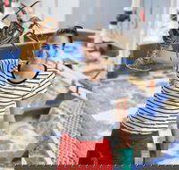 Pinnacles Desert Koalas and Sandboarding 4WD Day Tour from Perth - Accommodation Broadbeach