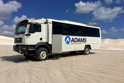Pinnacles Desert, Koalas And Sandboarding 4WD Day Tour From Perth - Accommodation Broadbeach 2