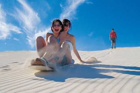 Pinnacles Desert, Koalas And Sandboarding 4WD Day Tour From Perth - Accommodation Broadbeach 3