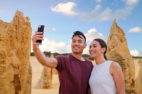 Pinnacles Desert, Koalas And Sandboarding 4WD Day Tour From Perth - Accommodation Broadbeach 4