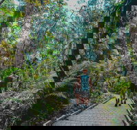 Full Day Cooktown Private Tour - Accommodation Broadbeach