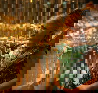 The Perth Mint Guided Heritage Tour and Gold Pour - Accommodation Broadbeach