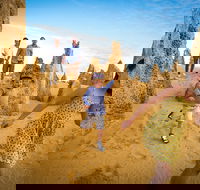 Full-Day Pinnacles Desert and Yanchep National Park Tour From Perth - Accommodation Broadbeach