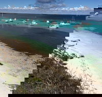 Experience Rottnest with Ferry  Bike Hire from Perth or Fremantle - Accommodation Broadbeach