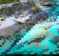 Rottnest Island Round-Trip Ferry from Perth or Fremantle - Accommodation Broadbeach