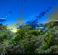 Classic Kuranda by Skyrail and Scenic Railway Including Rainforestation Koala and Wildlife Park and Pamagirri Aboriginal Experi - Accommodation Broadbeach