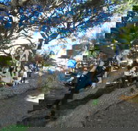 1/2 day Swan Valley Wine Cheese  Chocolate Tour Inc Afternoon Cruise to Perth - Accommodation Broadbeach