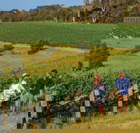 10 Day Perth to Adelaide Private Tour - The Great Australian Wilderness Journey - Accommodation Broadbeach