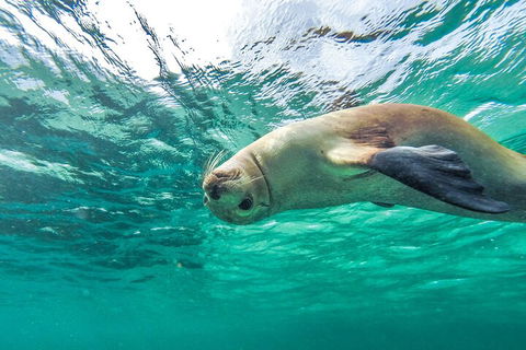 10-Day Adelaide To Perth Adventure Tour - Accommodation Broadbeach 1