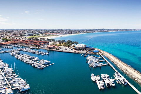 Lunch And General Admission Entry At AQWA - Accommodation Broadbeach 3