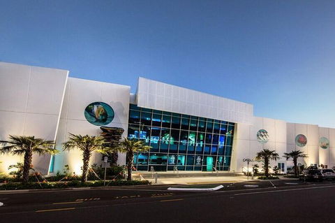 Cairns Aquarium Admission Ticket - Accommodation Broadbeach 4