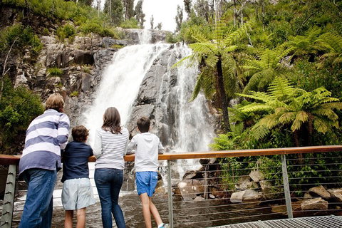 Lake Mountain Snow Trip Including Yarra Valley Chocolaterie From Melbourne - Accommodation Broadbeach 0