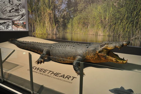 Explore Darwin City Sights Including Key Attractions - Accommodation Broadbeach 2