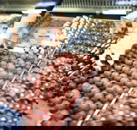 Pinnacles Desert Private Tour - Accommodation Broadbeach