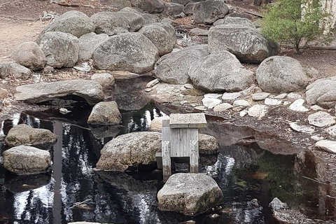 Bendigo, Echuca & The Mighty Murray - Accommodation Broadbeach 1