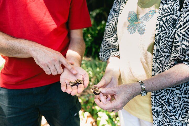 Perth WA Accommodation Broadbeach