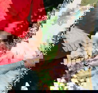 Perth Arcades and Laneways Walking Tour - Accommodation Broadbeach